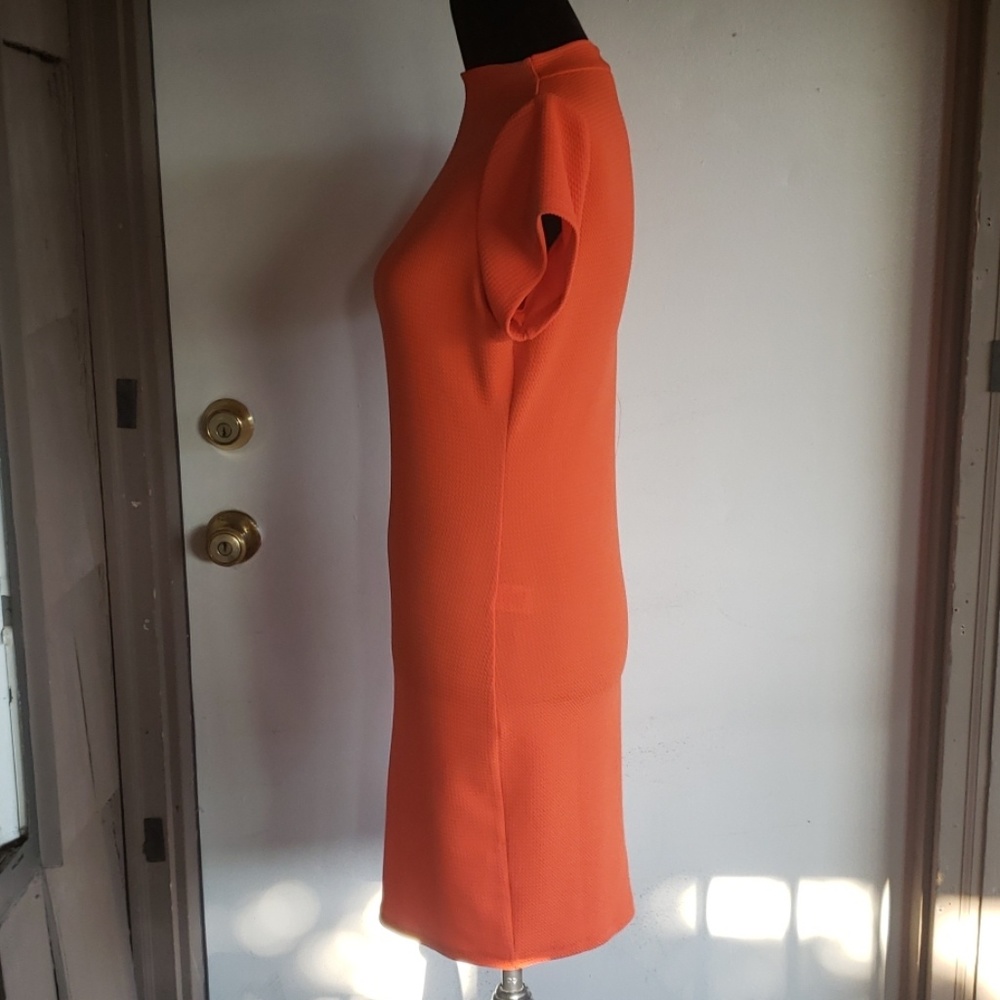 Dress - Picture 3 of 4